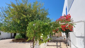 Ein Innenhof mit Baum, Blumentöpfen, einem weißen Gebäude und einem Steinweg.