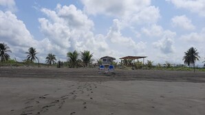 Une plage avec des empreintes de pas, des palmiers et une construction surmontée d’un toit de chaume.
