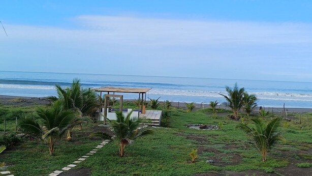 Une vue sur la plage avec une structure en bois, des palmiers et un ciel dégagé.