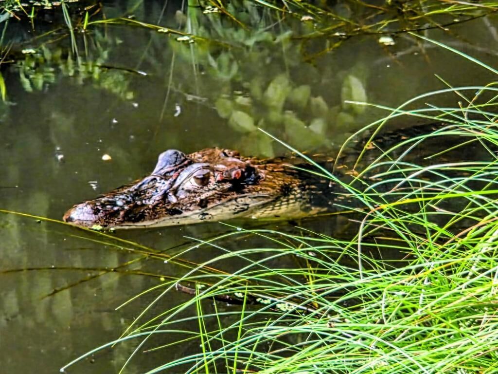 Quarto triplo, vista para o jardim | Diversos
