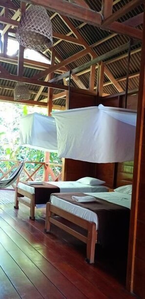Property grounds - Tambopata Edosikiana Ecolodge (Madre de Dios)