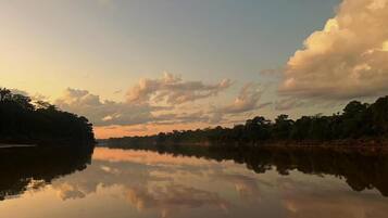 Habitació triple, vistes al jardí | Altres