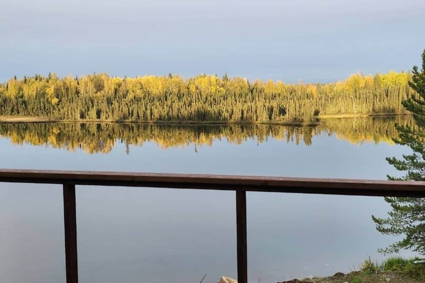Et roligt søspejl med et skovspejlbillede, en træterrasse og en klar himmel.