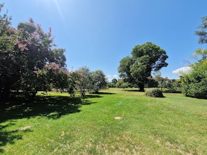 A grassy outdoor area with trees and a clear sky. - Domaine Le Pehau 4 - Avec jardin et terrasse (Osserain-Rivareyte)