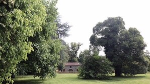 Une zone herbeuse avec un bâtiment en arrière-plan.