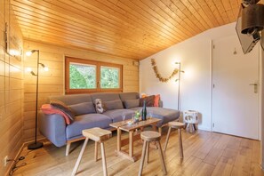 Fernseher, Kamin, DVD-Player