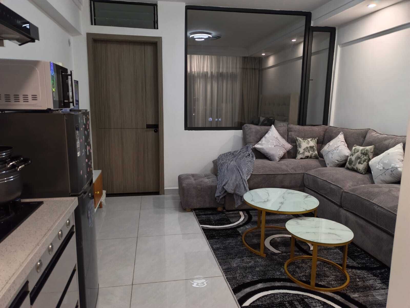 Deluxe Apartment, City View | Ruang tamu