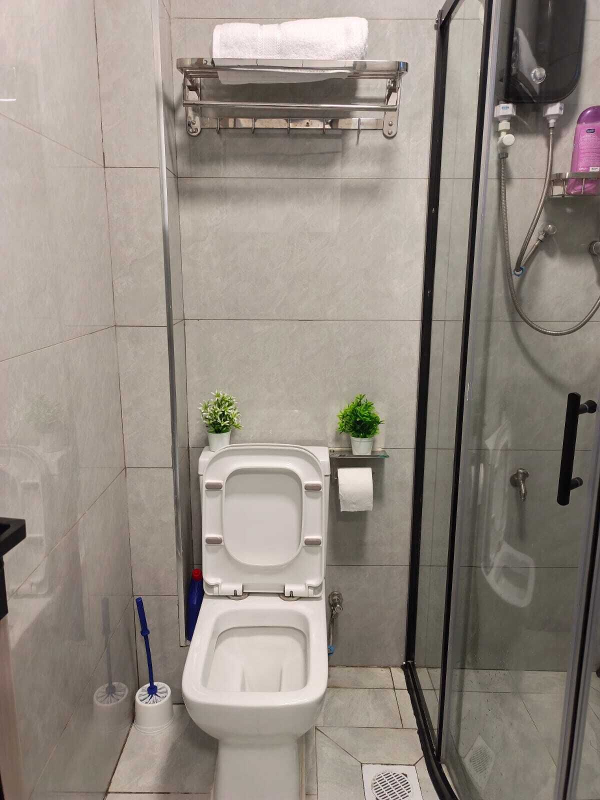 Deluxe Apartment, City View | Bathroom