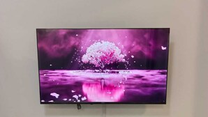 Et fladskærms-tv monteret på en væg over en hvid kommode med to små plantepotteplanter.