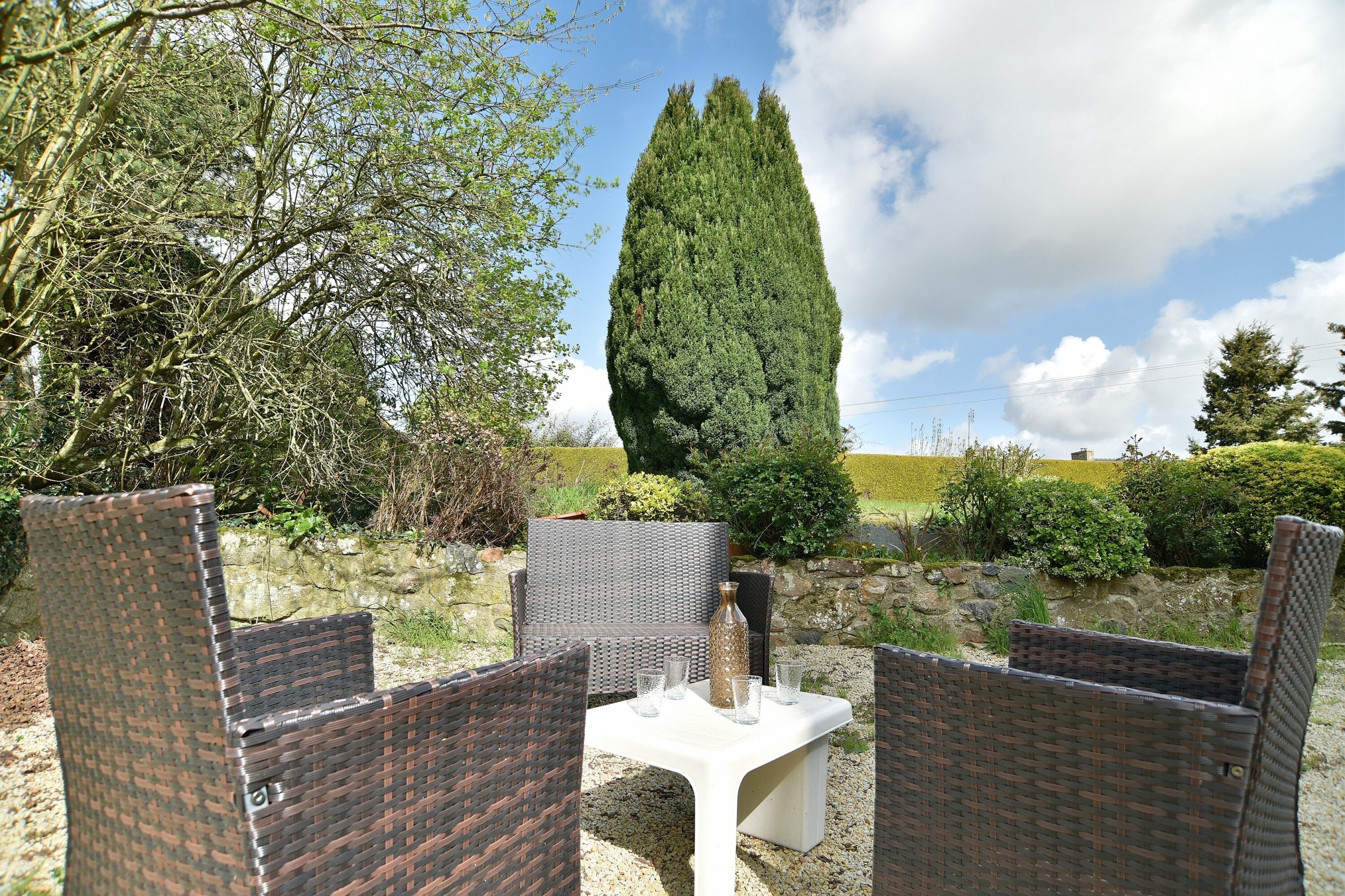 An outdoor seating area with wicker chairs and a table, surrounded by greenery and a tall tree.