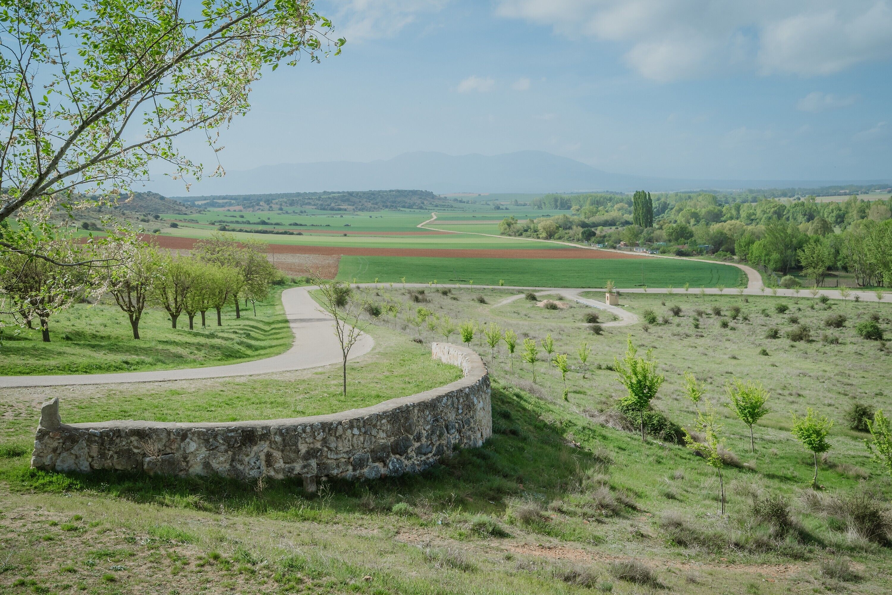 A stone wall, a winding road, and a green field with trees.