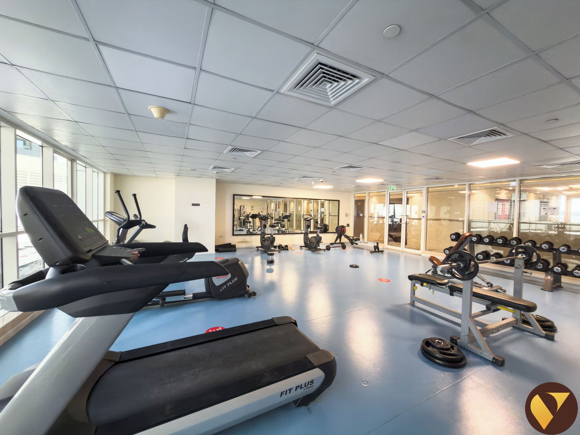 A gym with treadmills, weight machines, and free weights.