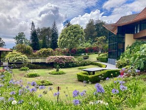 A well-maintained garden with various plants and a wooden bridge. - Cozy Family home-Gardens & Work-Friendly (Santa Bárbara)