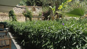 Standard Room, Garden View | Property grounds