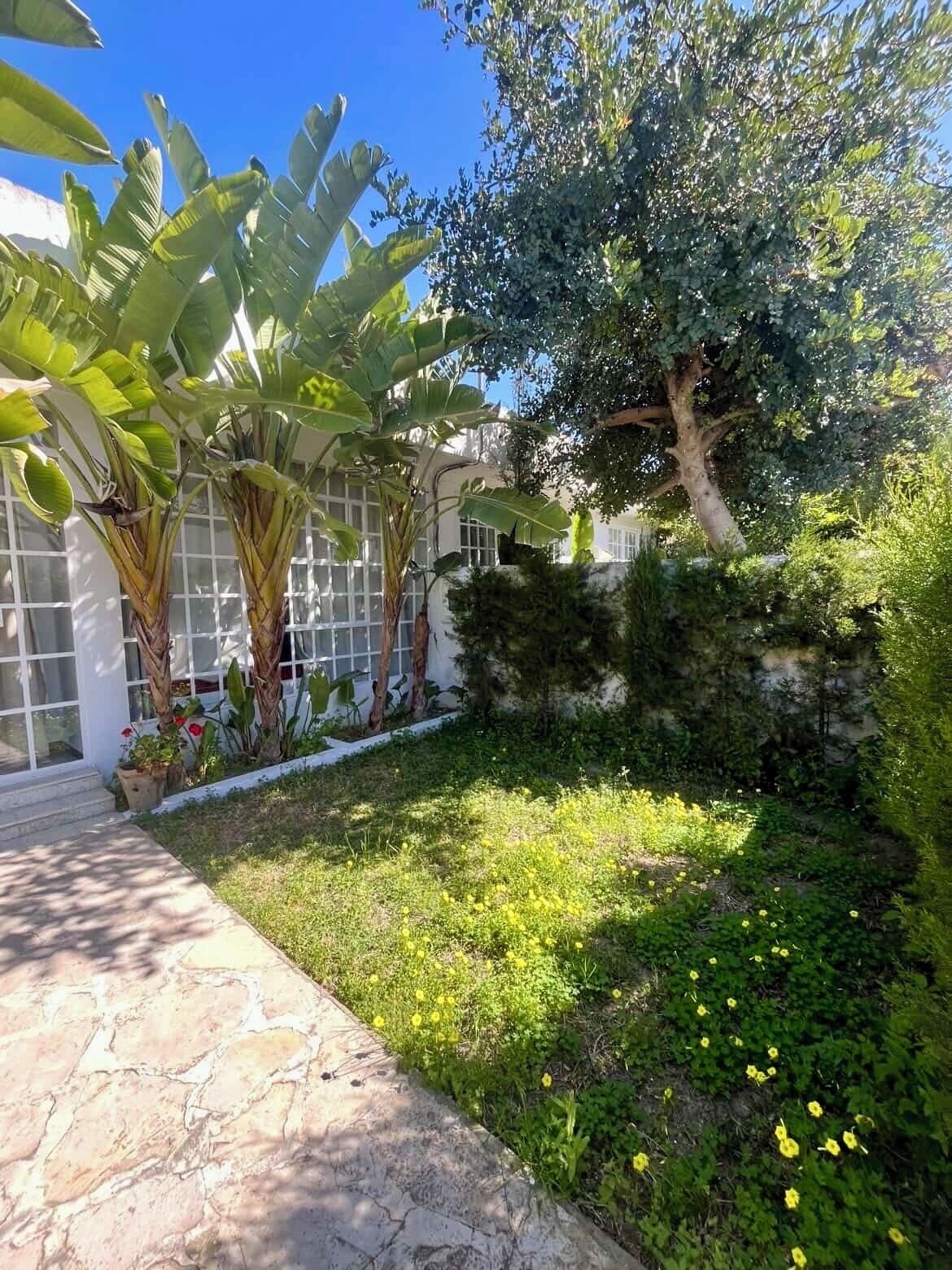 A garden with a stone pathway, banana trees, and a variety of plants.