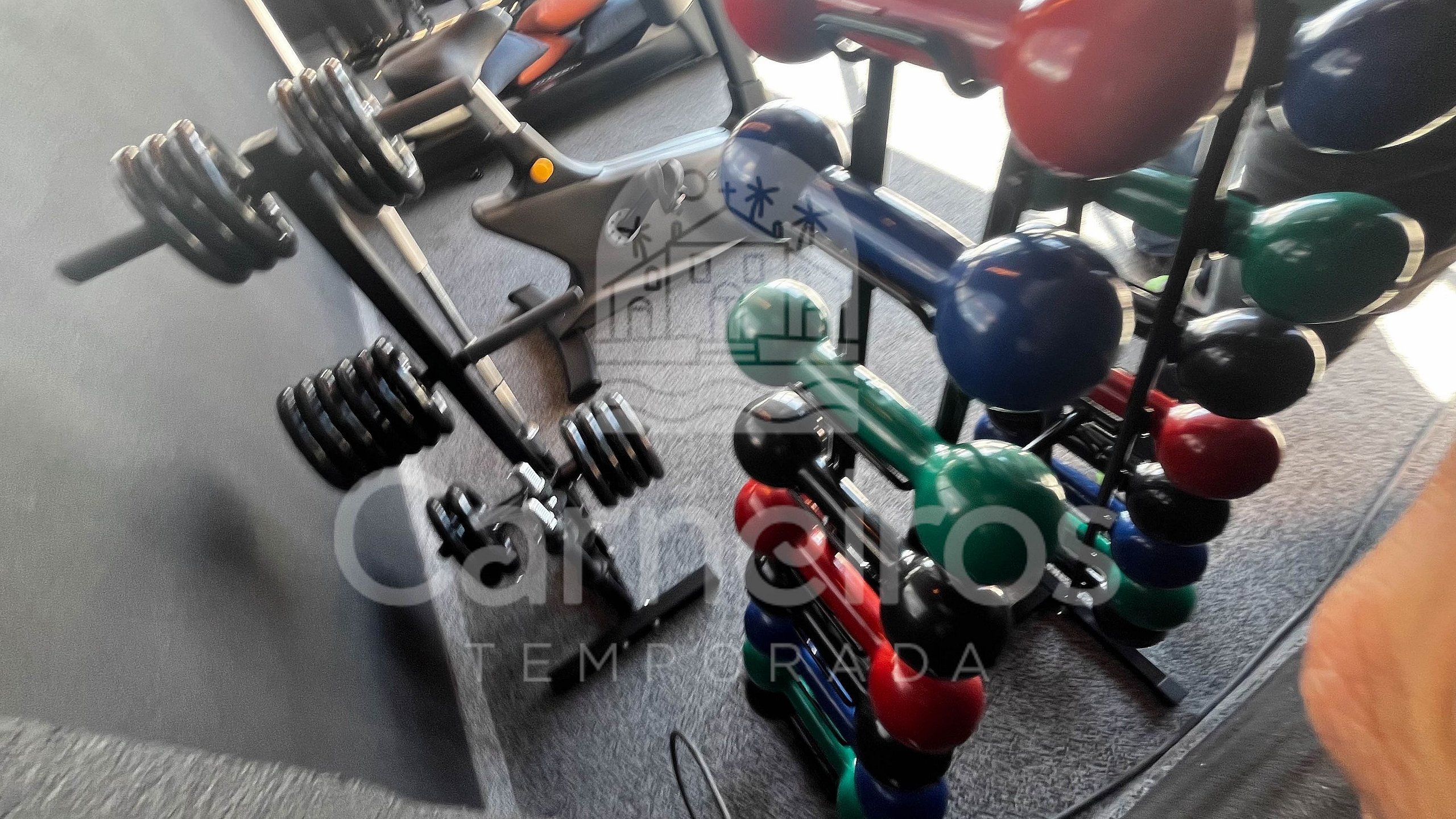 A gym with various exercise equipment including dumbbells, barbells, and weight plates.