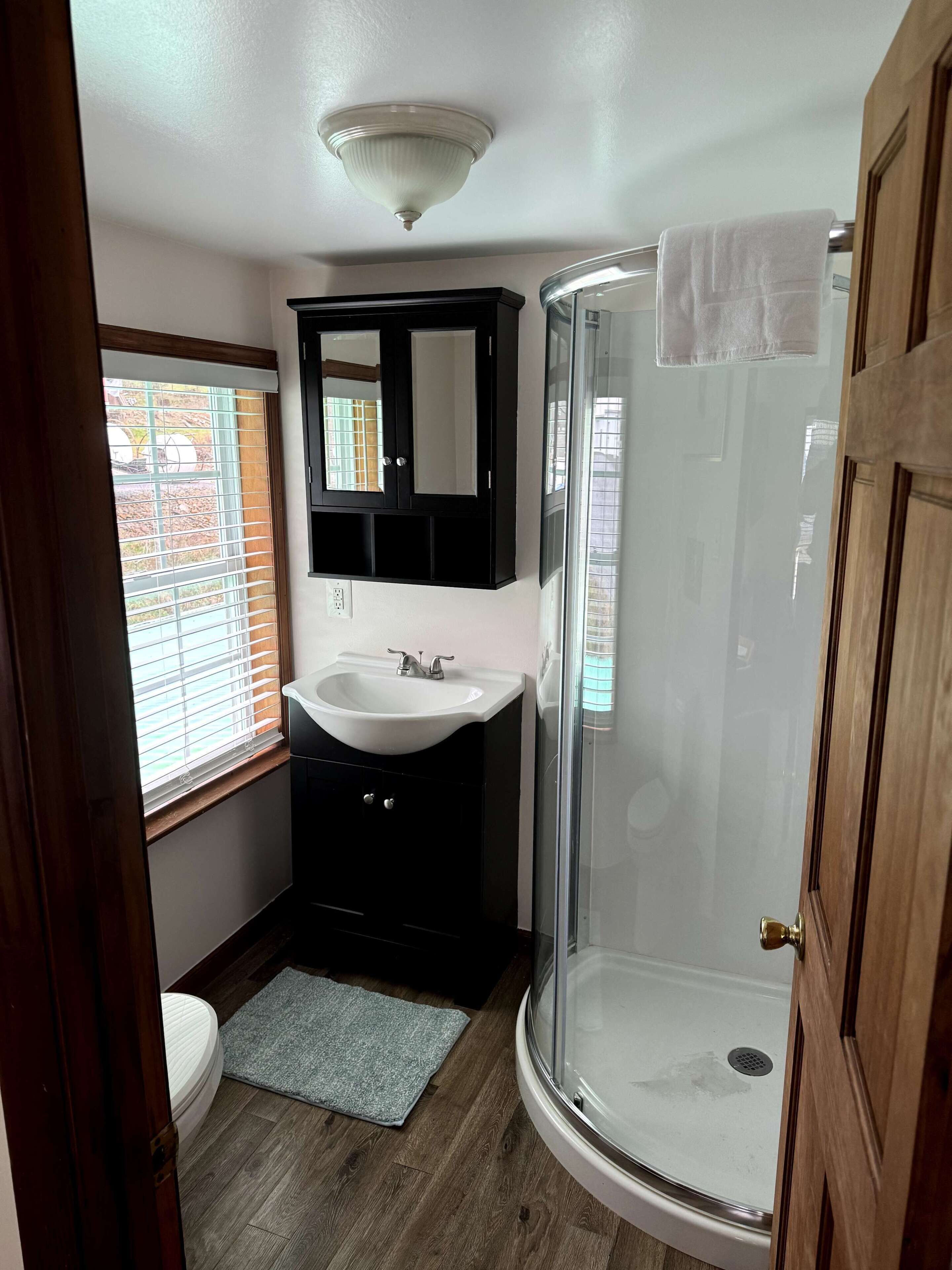Shower, hair dryer, shampoo