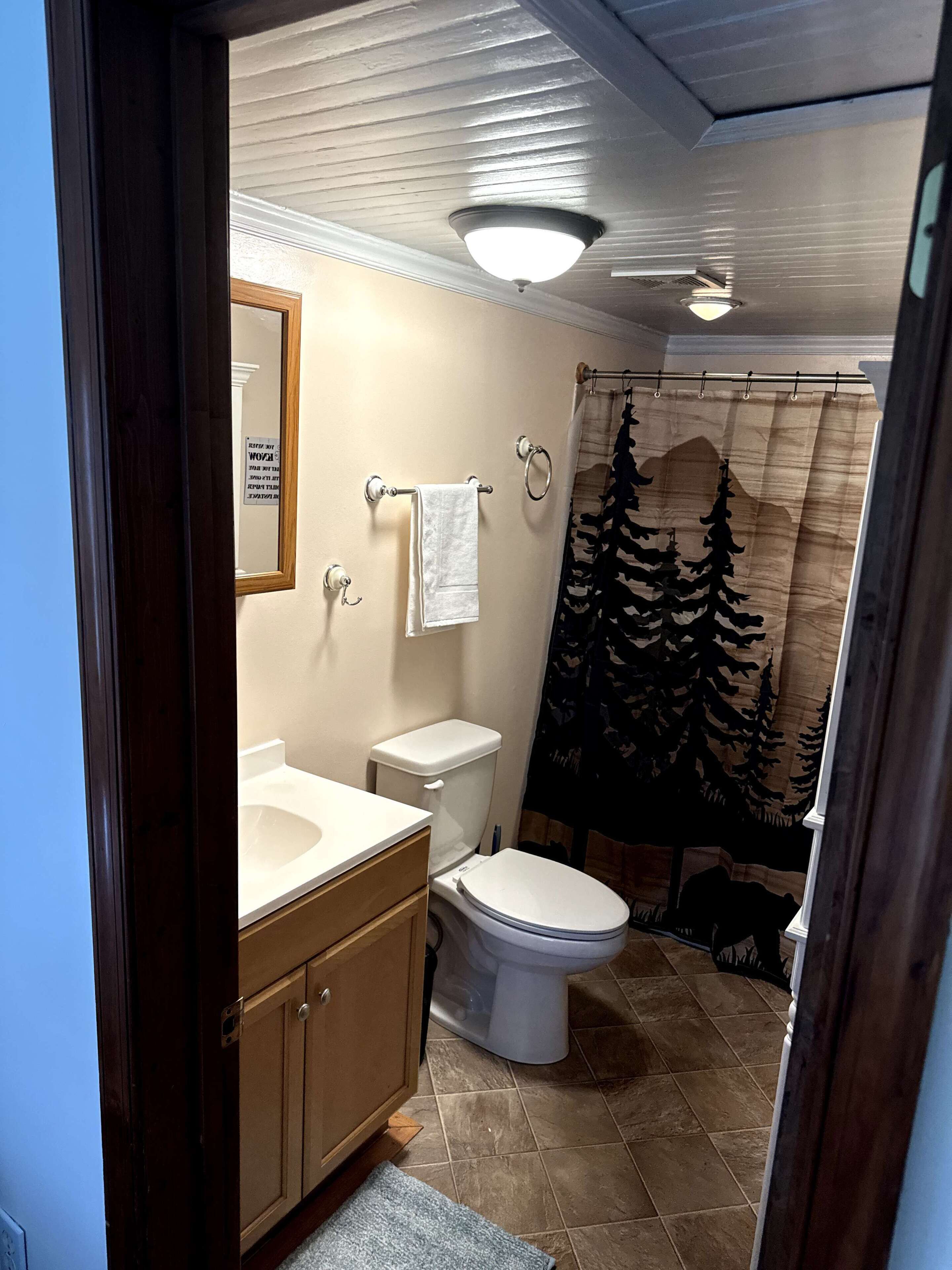 Une salle de bain équipée de toilettes, d’un lavabo et d’un rideau de douche.