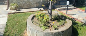 A circular planter with a tree and yellow flowers, a stone wall, and a paved area with steps. - Villa with pool (Perea)