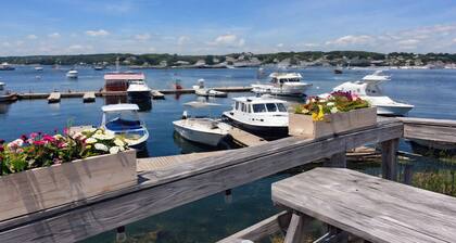 Tide Pool: Walking Distance to Boothbay Harbor