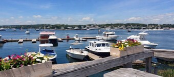 Tide Pool: Walking Distance to Boothbay Harbor