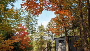 A cabin with a dock, surrounded by autumn foliage and a lake. - Baylight Cabin | Gorgeous Cabin on Private Lake (Dysart)