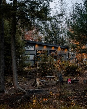 Property grounds - Baylight Cabin | Gorgeous Cabin on Private Lake (Dysart)