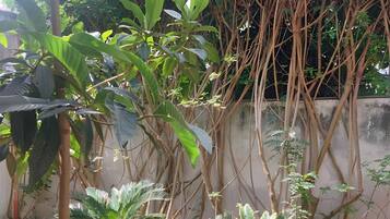 Área da propriedade