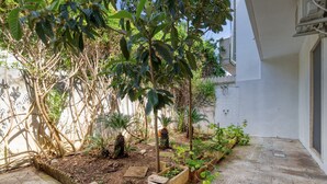 Un patio con diversas plantas en macetas, un árbol pequeño y suelo de baldosas.