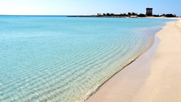 Una playa con agua cristalina, orilla arenosa y una construcción distante.
