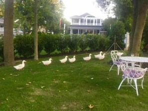 Outdoor dining - Charming 1-bedroom -on the lake-Large Porch -Villa in Spring Lake (Spring Lake)