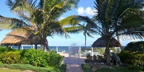 Property grounds - Driftwood Beach Club Lauderdale-by-the-Sea Great Pool & Beach Access (Lauderdale-by-the-Sea)