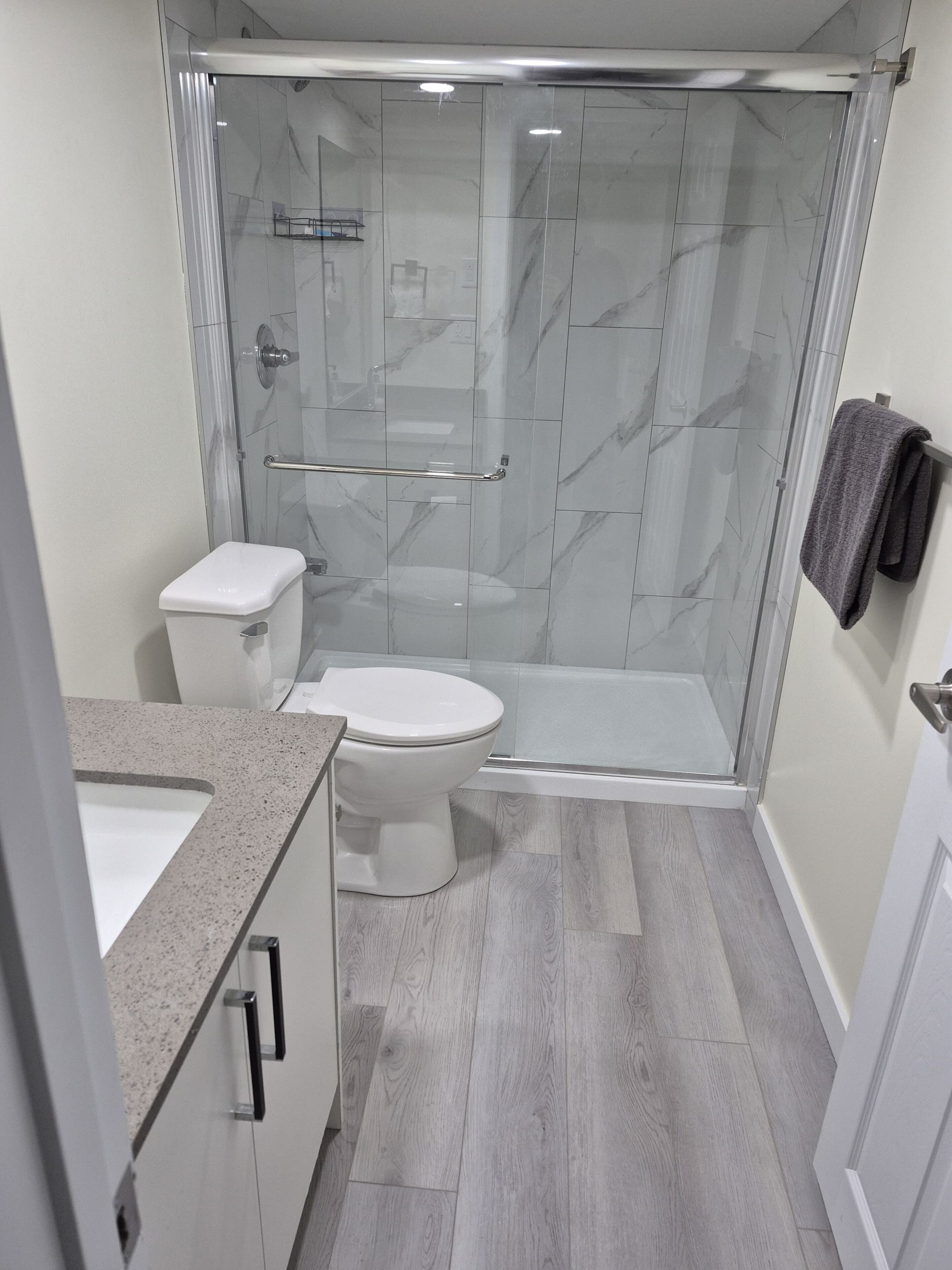Shower, towels, toilet paper