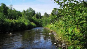 A river with surrounding greenery and trees. - Escape in the heart of Miller Zoo | Sheira Shack (Frampton)