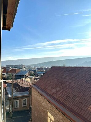 Standard Double or Twin Room, Balcony, City View | View from property - Hotel Nebula Inn (T'bilisi)
