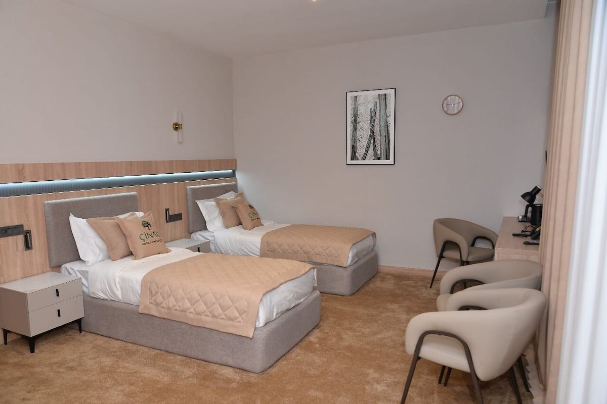 Junior Studio Suite, Multiple Beds, Non Smoking, Mountain View