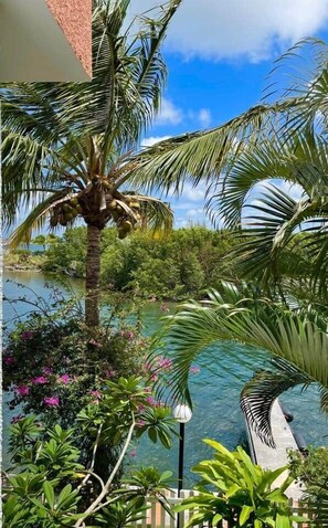 Property grounds - Simpson Bay Yacht Club condo (Simpson Bay)