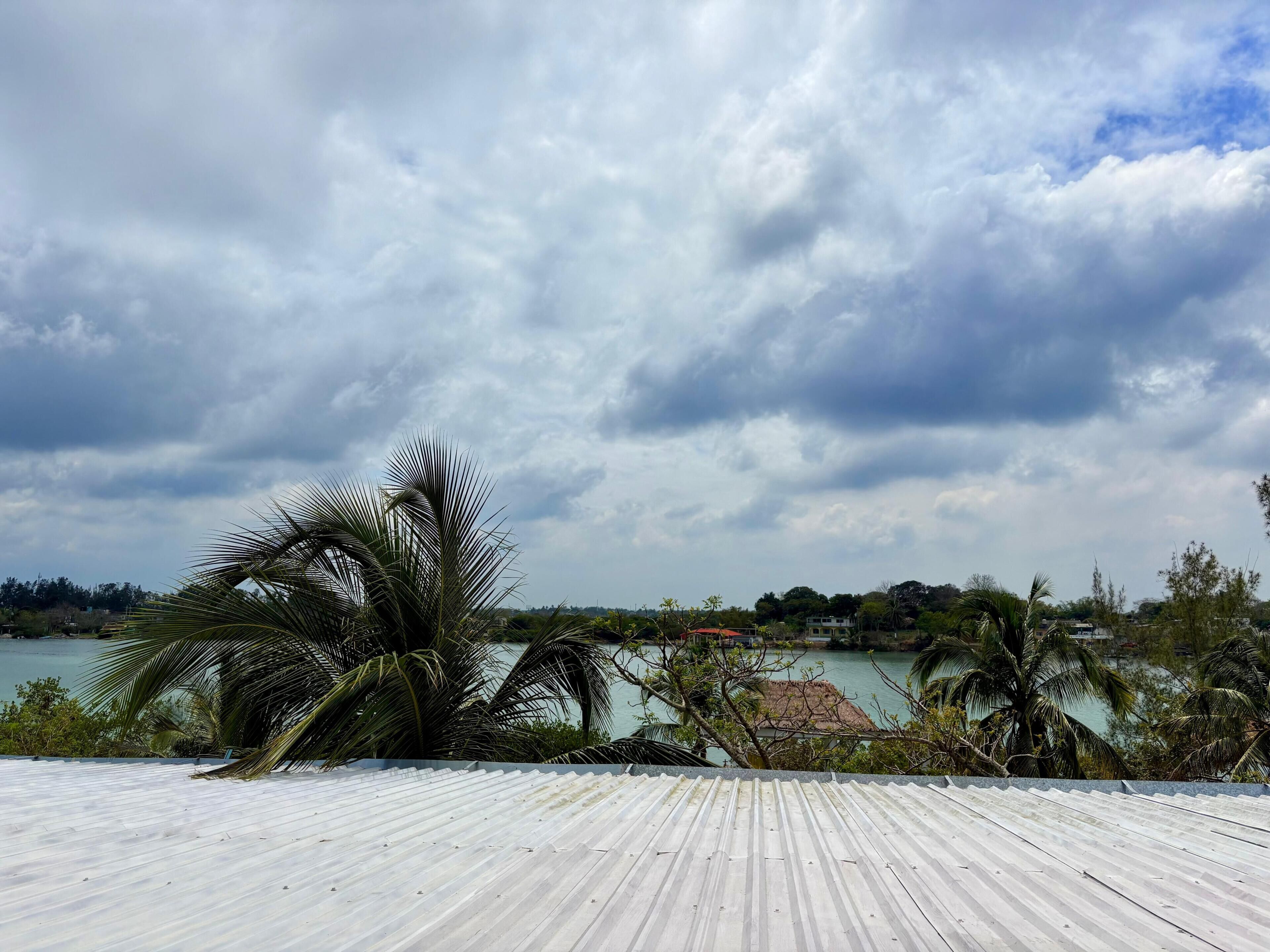 Vista de uma praia com palmeiras e céu nublado.