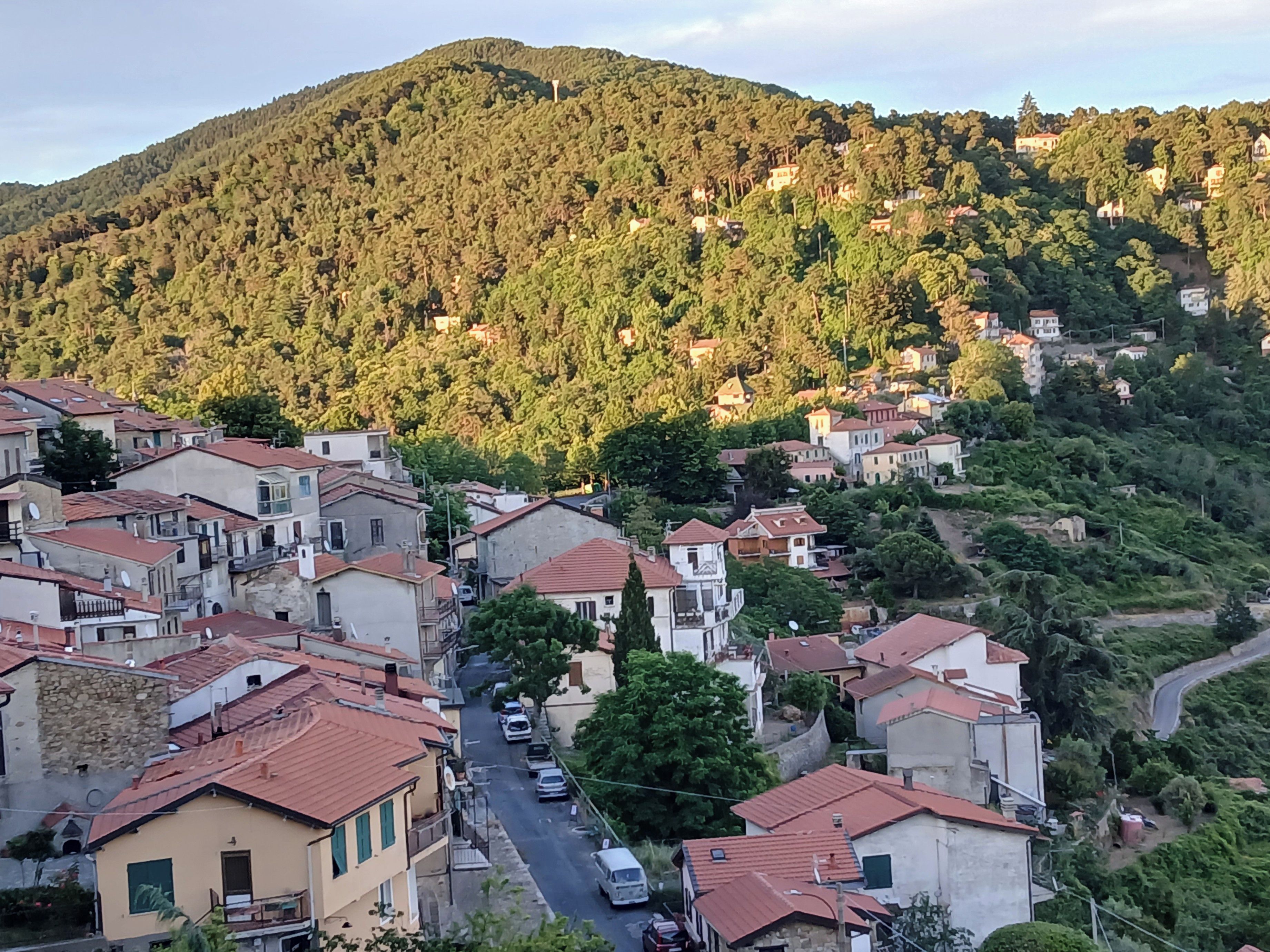 A hillside residential area with buildings, a winding road, and dense forest.