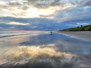 A beach with a reflective wet surface, palm trees, and a sunset.