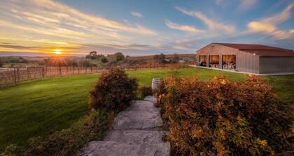 Vineyard and Winery Retreat