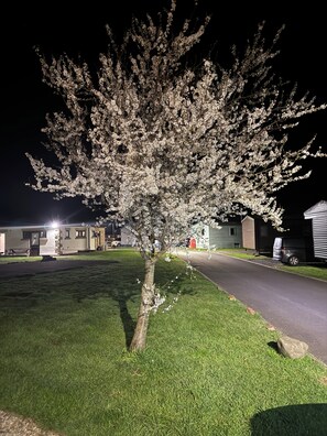 Àrea exterior de l'allotjament