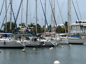 Marina - Suite Appart (Grande-Terre)