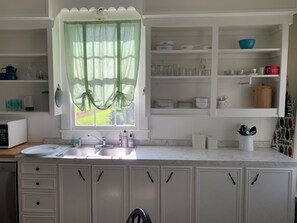 Private kitchen - The Lone Start Suite on the Mississippi River in Donaldsonville (Donaldsonville)