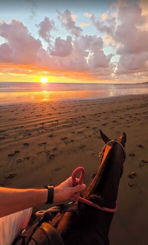 Beach - The Jungle Sanctuary (Quepos)