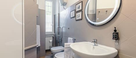 Shower, hair dryer, bidet, towels