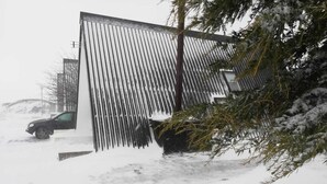 Ett snötäckt utomhusområde med ett staket av metall och ett träd.