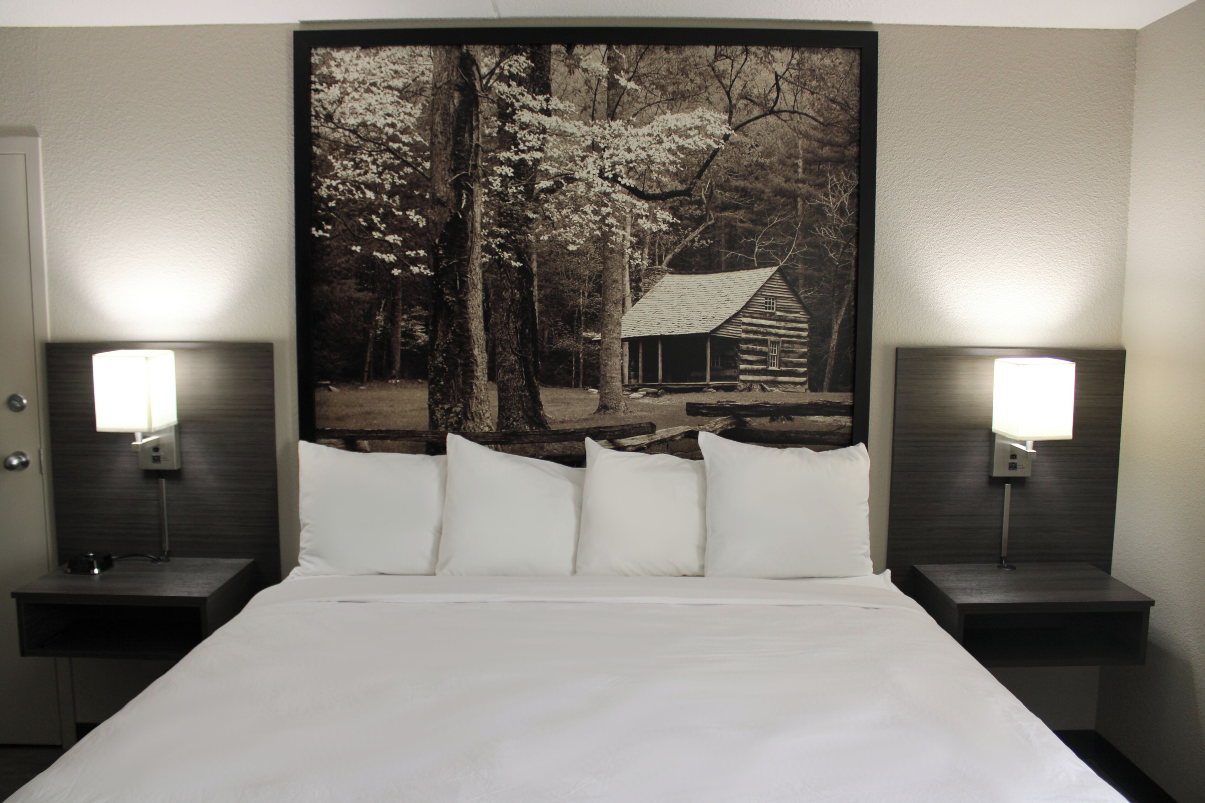Single Room, 1 King Bed, Mobility Accessible, Non Smoking (Guestroom) | In-room safe, desk, laptop workspace, blackout drapes