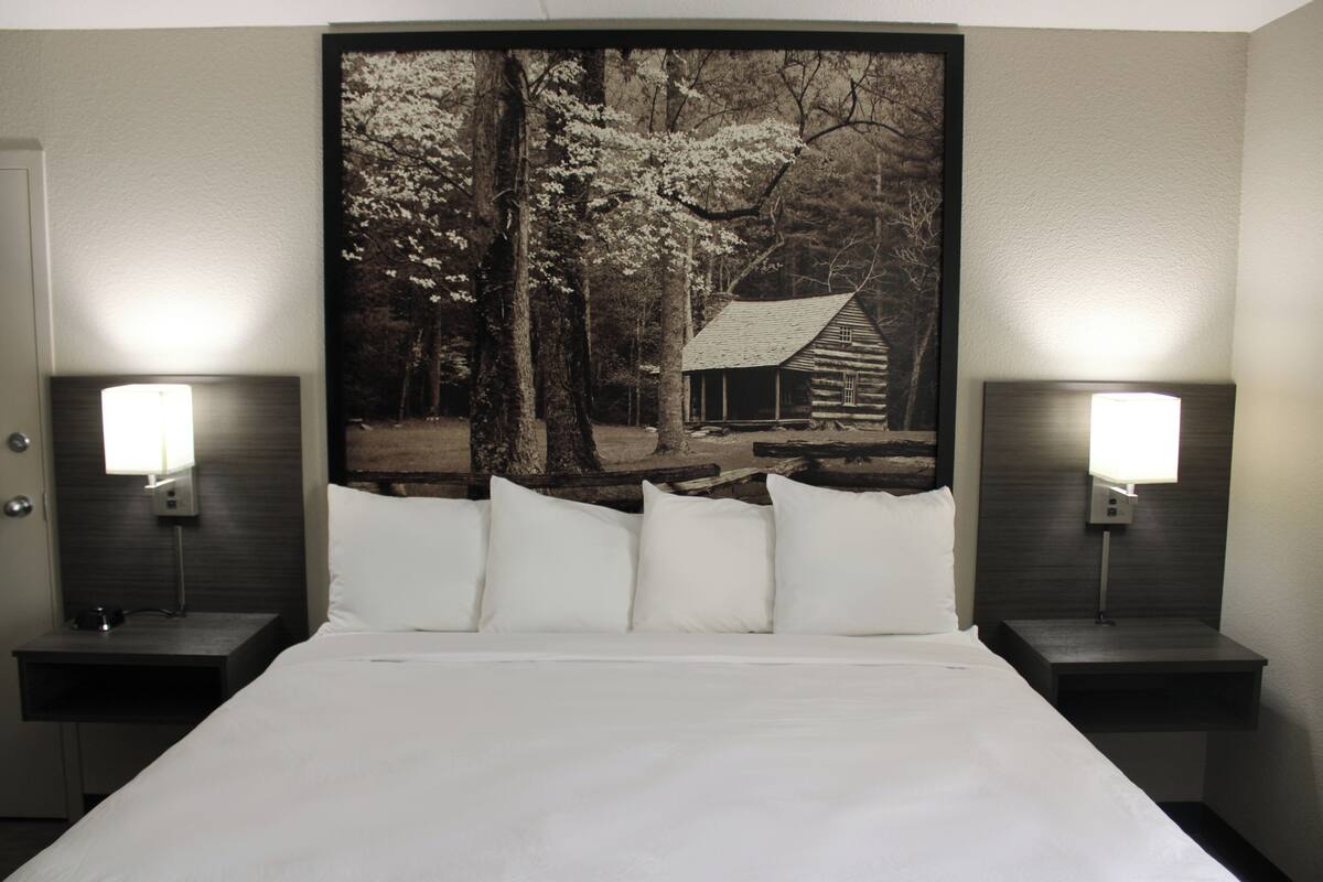 A hotel room with a large bed, two bedside tables, and a wall-mounted picture of a cabin in a forest.