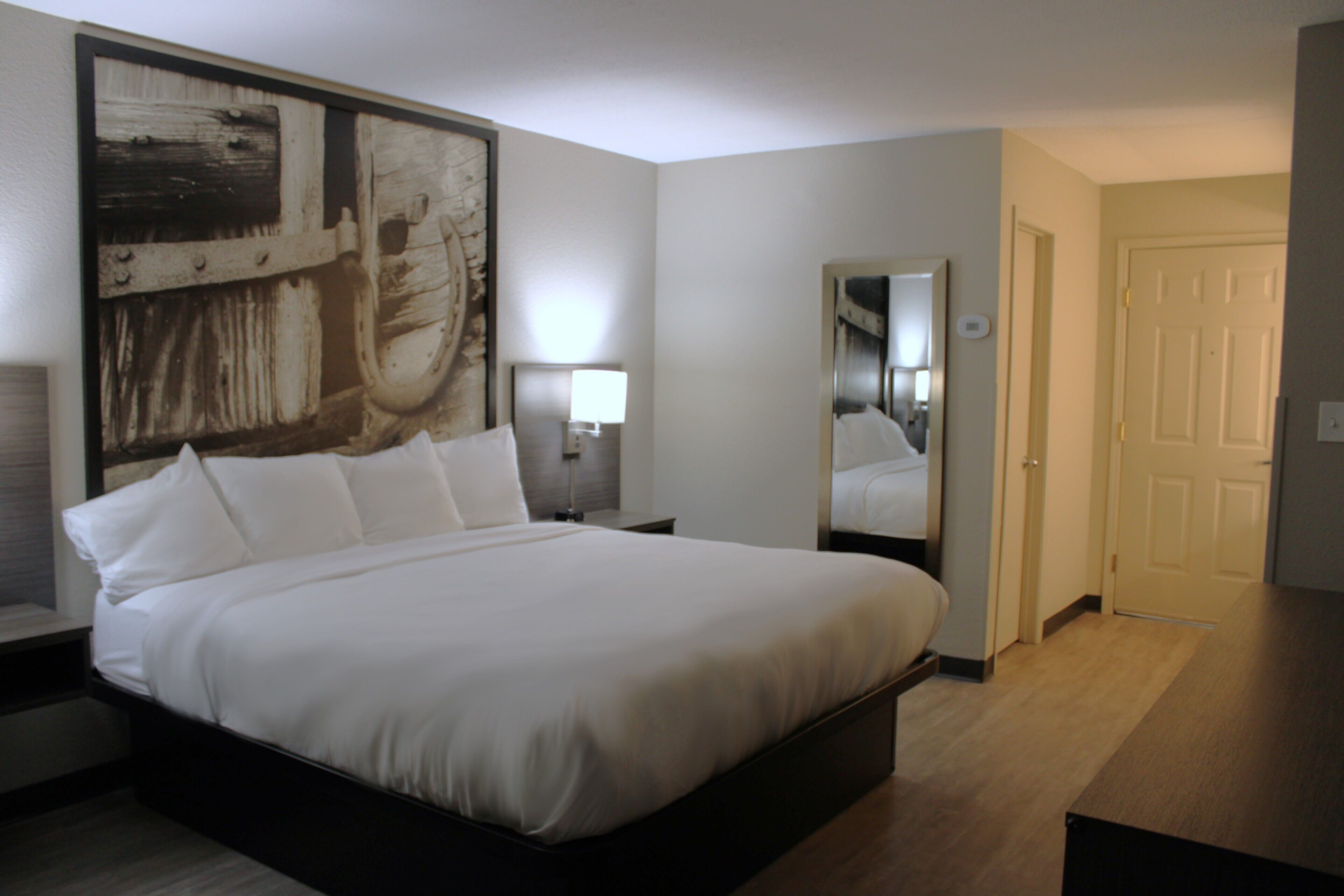 Standard Single Room, 1 King Bed, Non Smoking, Microwave